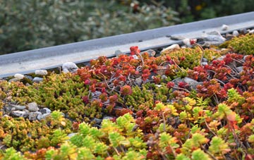 the cost of Smithy Lane Ends green roof installation