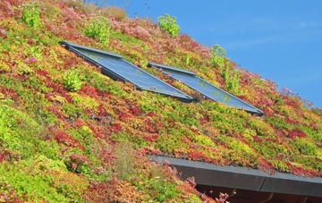 Smithy Lane Ends living roof systems
